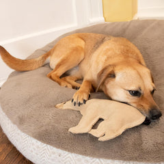 SPOT Dura-Fused Leather Bear Dog Toy – Real Leather & Jute Fabric, Double-Stitched & Durable, Squeaky Interactive Chew Toy for Moderate Chewers, Medium & Large Dogs, Soft Stuffed Fetch Toy, 11.5in