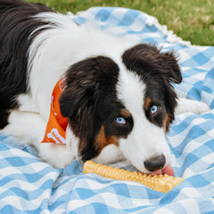 Nylabone Textured Knuckle Bone Power Chew Toy for Dogs, Durable & Tough Dog Toys for Aggressive Chewers, Peanut Butter Flavor, X-Large - Over 50 Ibs, 1 Count