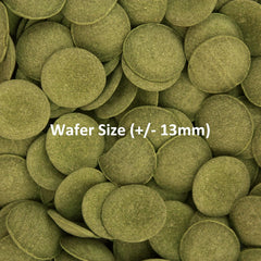 Ocean Nutrition Algae Wafers, Tropical Fish Food, Pleco Wafers, Algae Wafers for Bottom Feeders, Nutritionally Balanced Vegetarian Fish Food for Herbivorous Bottom Feeders