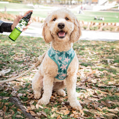 Ark Naturals® Don’t Shed On Me for All Pets 8 Oz