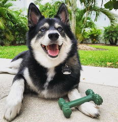 Nylabone Power Chew Easy-Hold Dog Toy - Dog Toys for Aggressive Chewers - Indestructible Dog Toys for Aggressive Chewers Large Breed - For Large Dogs - Bacon Large/Giant