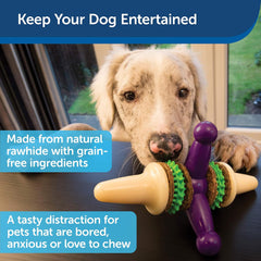 PetSafe Busy Buddy Treat Holding Jack Dog Toy – Strong Chewers - Challenging - Treat Rings Included