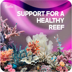 CaribSea LifeRock Arches - 20 lb Box with Four 12" Rocks - Natural Aragonite for Aquascaping, Supports Coral Growth & Ideal for Marine & Reef Tanks