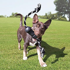 KONG Extreme Dental Dog Toy - for Dental Care - Stuffable Chew Toy - Provides Chewing Outlet - Cleans Teeth & Gums - Made Most Durable Natural Rubber