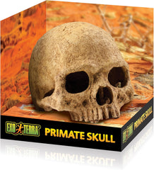 Exo Terra Primate Skull Terrarium D