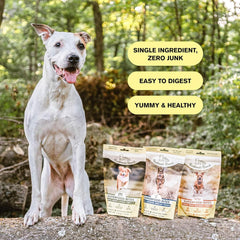 Superfood Bite, Freeze-Dried Raw Dog Treats - Protein Rich, Train & Reward, Traceable Single Ingredient by Katherine Heigl (Beef Liver)