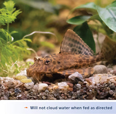 Aqueon® Bottom Feeder Tablet for Fish 3 Oz