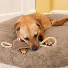 SPOT Dura-Fused Leather Bone Tug Dog Toy – Real Leather & Jute Fabric, Double-Stitched & Durable, Squeaky Interactive Tug Toy with Double Rope Handle for Moderate Chewers, Soft Stuffed Fetch Toy, 18in