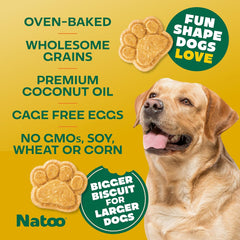 NATOO Healthy Treats for Large Dogs, Crunchy Biscuits Coconut & Mango Flavor – Natural Dog Treats, Rich in Omega 6, Prebiotics & Fibers, Antioxidants for Immunity (8 oz)