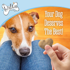 Lazy Dog Cookie Co.. Ginger Glazed Pumpkin Carrot - Crunchy Baked Dog Treat 14oz