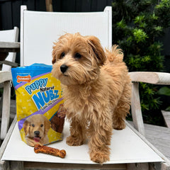 Nylabone Nubz Natural Edible Dog Chew Treats for Puppies, Long Lasting Dog Bones Made in USA, Turkey & Sweet Potato Flavor, for Puppies