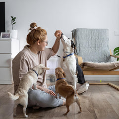 Exclusively Dog Chewy Training Treats Bacon Apple Flavor Grain Free Gluten Free, Made in The USA, 6 oz.