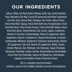 Instinct Raw Boost, Natural Dry Dog Food with Freeze Dried Pieces, High Protein, Grain Free Recipe - Real Salmon