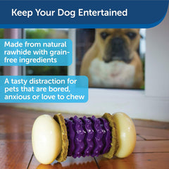 PetSafe Busy Buddy Nobbly Nubbly Treat Holding Dog Toy – Strong Chewers – Challenging - Treat Rings Included - Multi Color