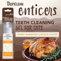 TropiClean Enticers Cat Teeth Cleaning Treat Gel | Honey Chicken Flavored Cat Toothpaste Alternative |