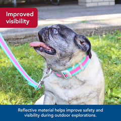 Coastal Pet - Pro - Reflective Adjustable Dog Collar, Fuscia with Teal