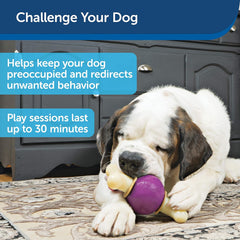 PetSafe Busy Buddy Bouncy Bone Dog Toy - Treat-Holding Toys for Dogs- Scented for Enhanced Sensory Stimulation- Rigorously Tested Ingredients- for Aggressive Chewers- Treat Refills Available - M/L