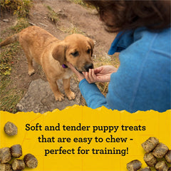 Zuke's Puppy Naturals Dog Training Treats, Pork & Chickpea Recipe, Nutrient