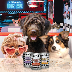 Fromm Diner Breakfast Sam's Steak & Eggs Beef & Eggs Recipe in Gravy Dog Food - Premium Wet Dog Food - Beef Recipe - Case of 12 Cans