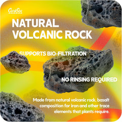 Carib Sea 3Eco-Complete Planted Aquarium 20 lbs.