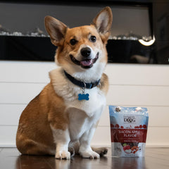 Exclusively Dog Chewy Training Treats Bacon Apple Flavor Grain Free Gluten Free, Made in The USA, 6 oz.
