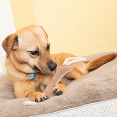 SPOT Dura-Fused Leather Bone Tug Dog Toy – Real Leather & Jute Fabric, Double-Stitched & Durable, Squeaky Interactive Tug Toy with Double Rope Handle for Moderate Chewers, Soft Stuffed Fetch Toy, 18in