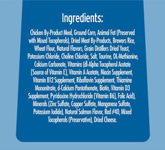 TEMPTATIONS Classic Treats for Cats Savory Salmon Flavor 16 Ounces