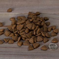 Nulo Adult Grain Free Dog Food: All Natural Dry Pet Food For Large And Small Breed Dogs Turkey