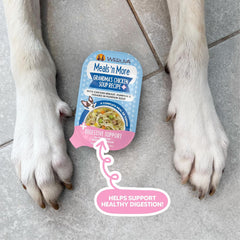 Weruva Meals 'n More Natural Wet Dog Food, Belly Belly Nice! Digestive Support Variety Pack(Pack of 10)