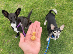 Redbarn Pet Products All-Natural Air Dried Beef Training Treats for Puppies & Dogs – Grain-Free Single Protein Rewards Made in USA for Small, Medium, & Large Breeds