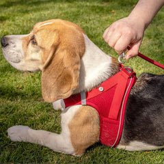 Curli Magnetic Vest Harness Air-Mesh Red