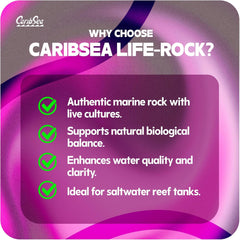 CaribSea LifeRock Base Rock - 40 lbs - Natural Aragonite Rock for Custom Aquascaping, Supports Marine & Reef Environments, Enhances Tank Stability