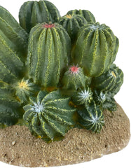 Multi Pet 48593321: Komodo Cactus Plant Barrel, 4In