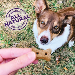 Old Mother Hubbard Wellness P-Nuttier 'N Nanners Dog Biscuits, Natural, Training Treats, Peanut Butter & Banana Flavor, Mini Size, (16 Ounce Bag)