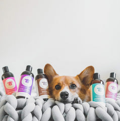 kin+kind kin organics Jasmine+Lily Organic Dog Shampoo
