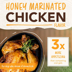 TropiClean Enticers Dog Teeth Cleaning Treat Gel | 2 oz