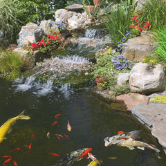 TetraPond Koi Vibrance, Soft Sticks, Floating Pond Food