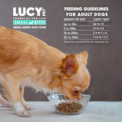 Lucy Pet Products Duck Pumpkin & Quinoa Small Bites Dog Food 4.5lb
