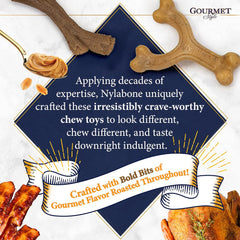 Nylabone Gourmet Style Wishbone Strong Chew Toy for Dogs, Bacon Flavor