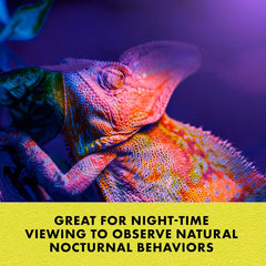 Zilla Incandescent Spot Bulb Night Black