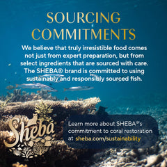 Sheba Perfect Portions Wet Cat Food Pate Tender Beef Entree, 2.6 oz. Twin-Pack Trays (24 Count, 48 Servings)