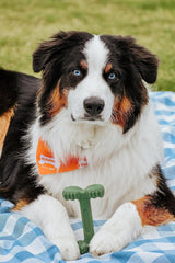 Nylabone Power Chew Easy-Hold Dog Toy - Dog Toys for Aggressive Chewers - Indestructible Dog Toys for Aggressive Chewers Large Breed - For Large Dogs - Bacon Large/Giant