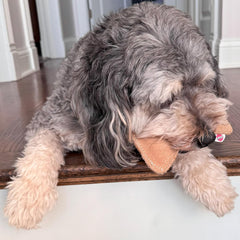 SPOT Dura-Fused Leather Small Bone – Real Leather & Jute Fabric, Double-Stitched & Durable, Squeaky Interactive Chew Toy for Moderate Chewers, Small & Medium Dogs, Soft Stuffed Fetch Toy