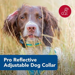 Coastal Pet - Pro - Reflective Adjustable Dog Collar, Bright Green with Grey
