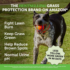 Grass Green Dog Chews - Urine Neutralizer for Lawn, Dog Pee Grass Helps Yard Stay Green Addressing Burn Spots with Probiotics & Enzymes (Duck)