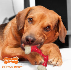 Nylabone Double Bone Power Chew Toy for Dogs, Dog Toys for Aggressive Chewers, Bacon Flavor, X-Small