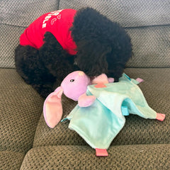 SPOT Soothers - Blanket - Soft and Cuddly Dog & Puppy Toy with Lavender Scented Beads to Calm and Relax Your Pet, Provides Separation Anxiety Relief Due to Travel, Thunder and Loud Noises