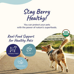 kin+kind Natural Cranberry Supplement Powder for Dogs&Cats - Boost Healthy Immunity and Bladder Support with Organic Formula - Organic Cranberry, Blueberry and Coconut