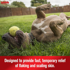 Sulfodene Medicated Shampoo & Conditioner for Dogs 12oz