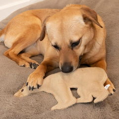 SPOT Dura-Fused Leather Bear Dog Toy – Real Leather & Jute Fabric, Double-Stitched & Durable, Squeaky Interactive Chew Toy for Moderate Chewers, Medium & Large Dogs, Soft Stuffed Fetch Toy, 11.5in